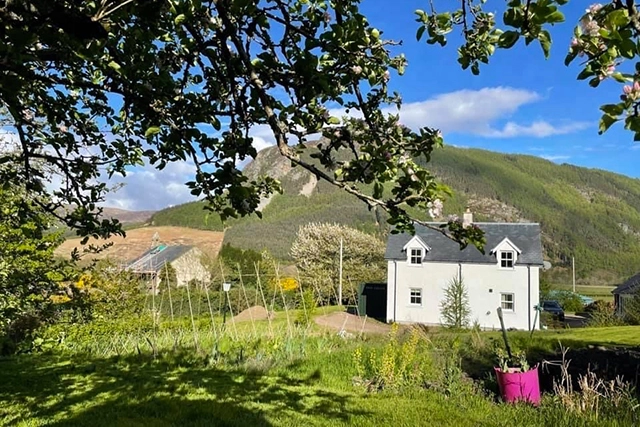 The front exterior of Clachan Garden B&B, a charming white two-story house with a grey tiled roof, set in a lush green garden. The house is surrounded by picturesque scenery, including rolling hills, dense forests, and a mountain backdrop. A pink planter adds a splash of colour to the verdant lawn, while tree branches in the foreground frame the view, enhancing the tranquil and inviting atmosphere. The sky is clear and blue, completing the idyllic Highland setting.